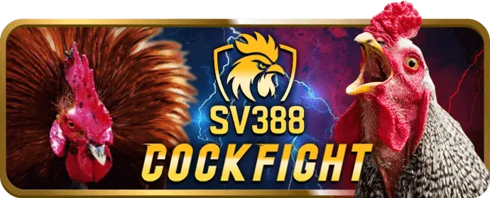 Đá gà lc88 web